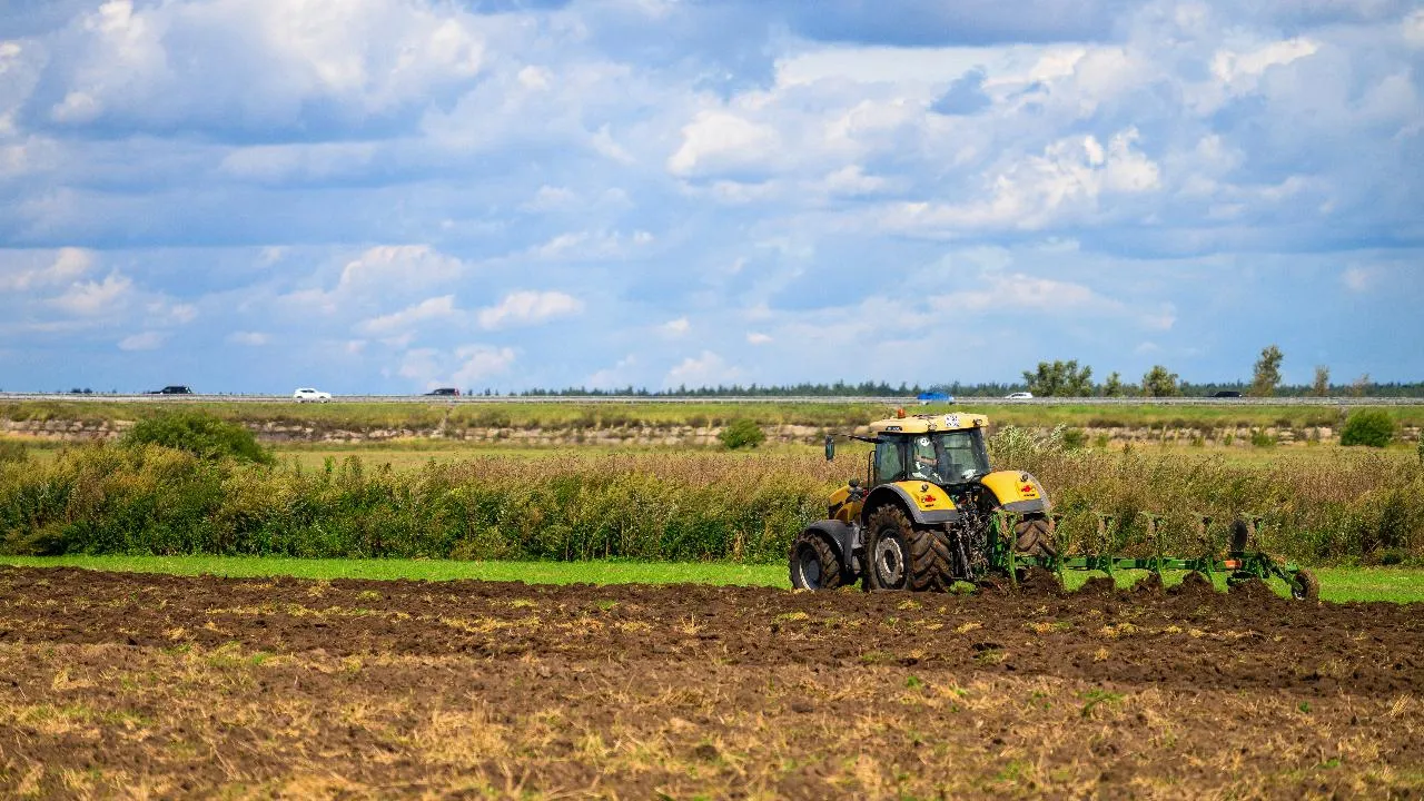 Более 400 га изъятой сельхозземли вовлекут в оборот в Подмосковье