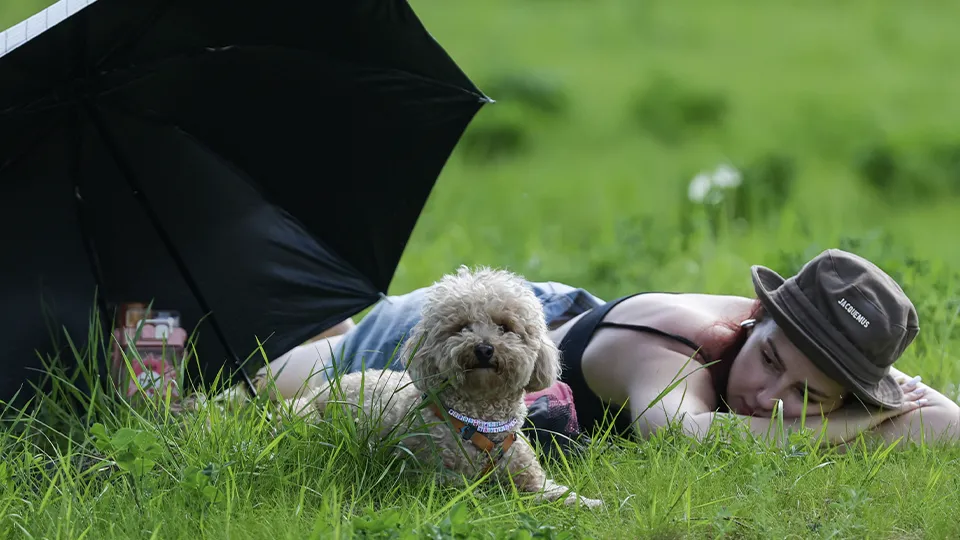 Фото: ТАСС/Кирилл Кухмарь