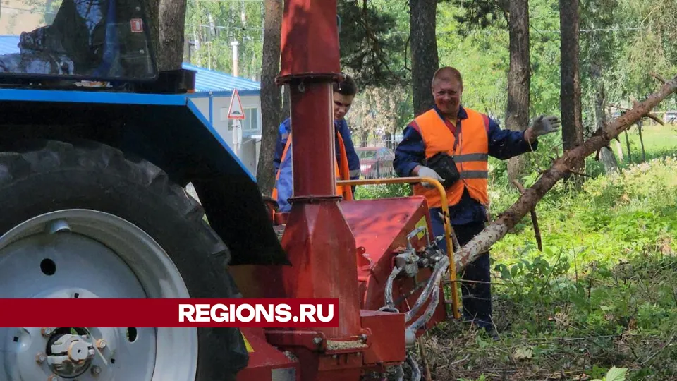 Фото: Виталий Сид