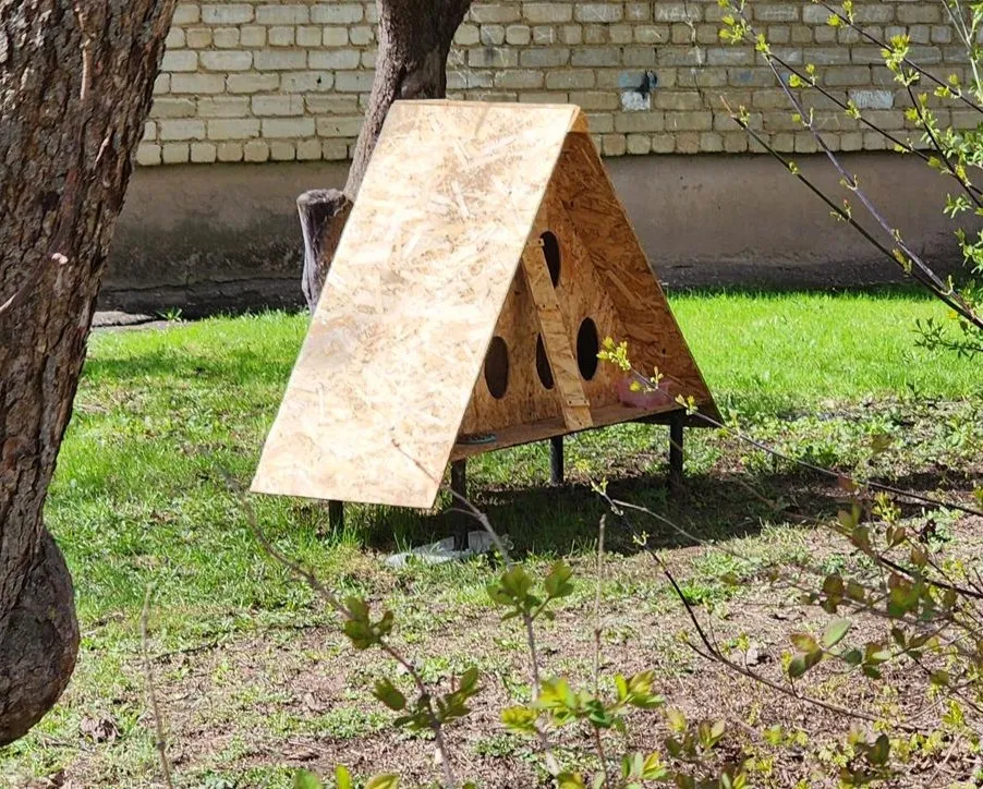 Фото: Екатерина Данилина