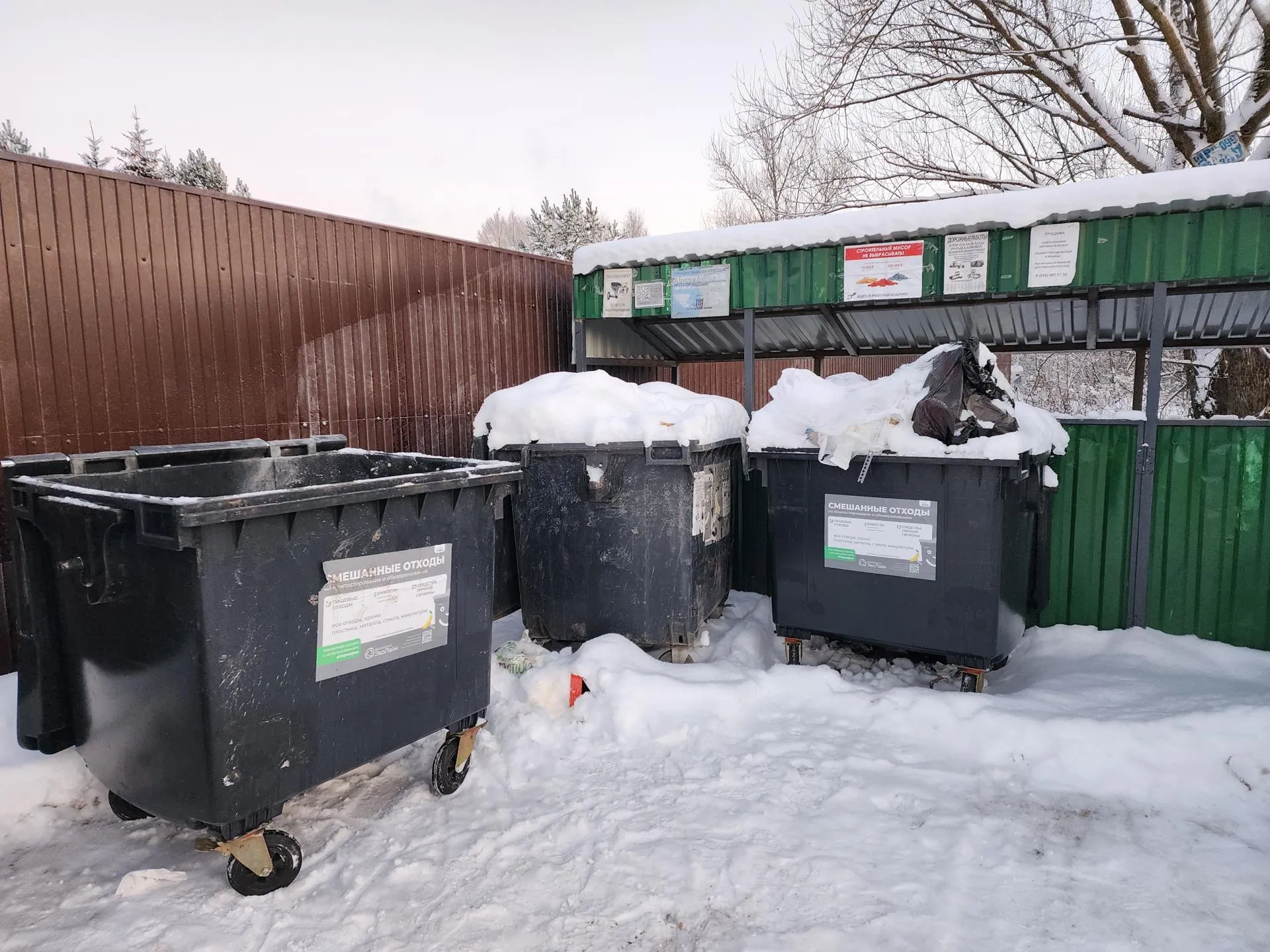 Фото: Дарья Савинова