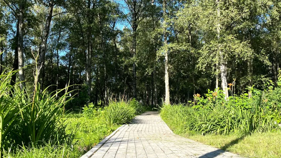 Фото: пресс-служба администрации г.о. Лобня