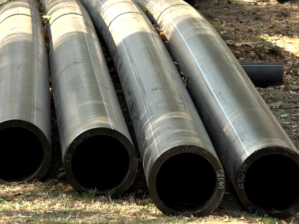 Фото: пресс-служба Администрации г.о. Дубна