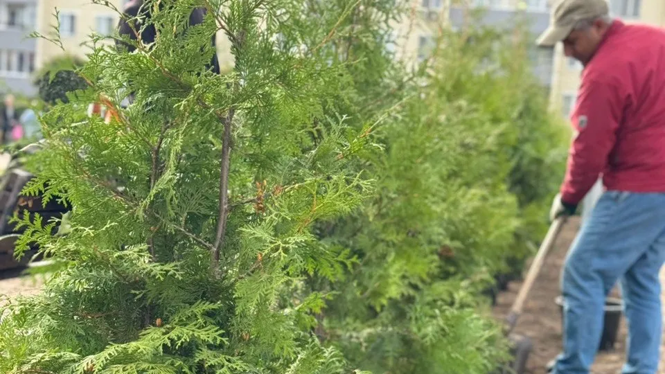 Фото: пресс-служба администрации Наро-Фоминского г.о.