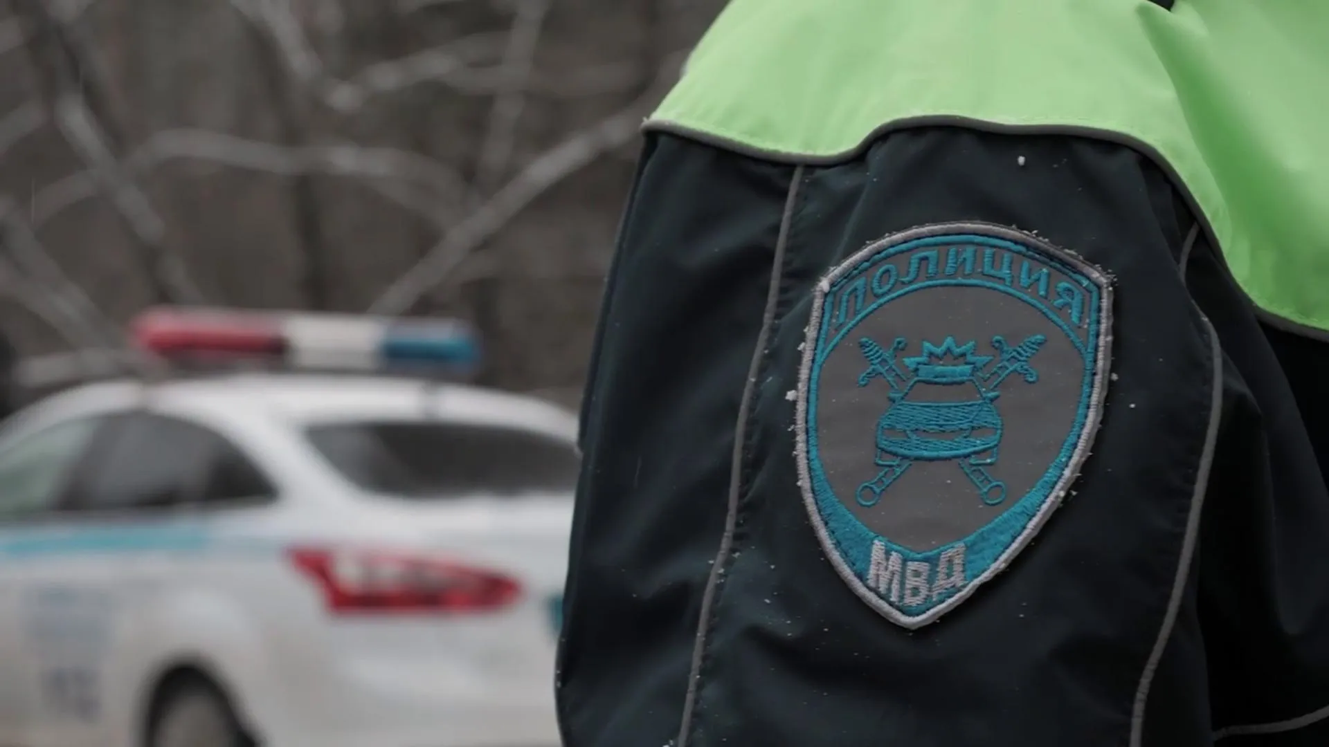 Фото: Госавтоинспекция Московской области