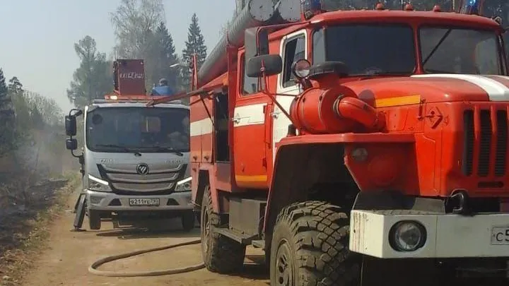 В Подмосковье ликвидировали лесной пожар