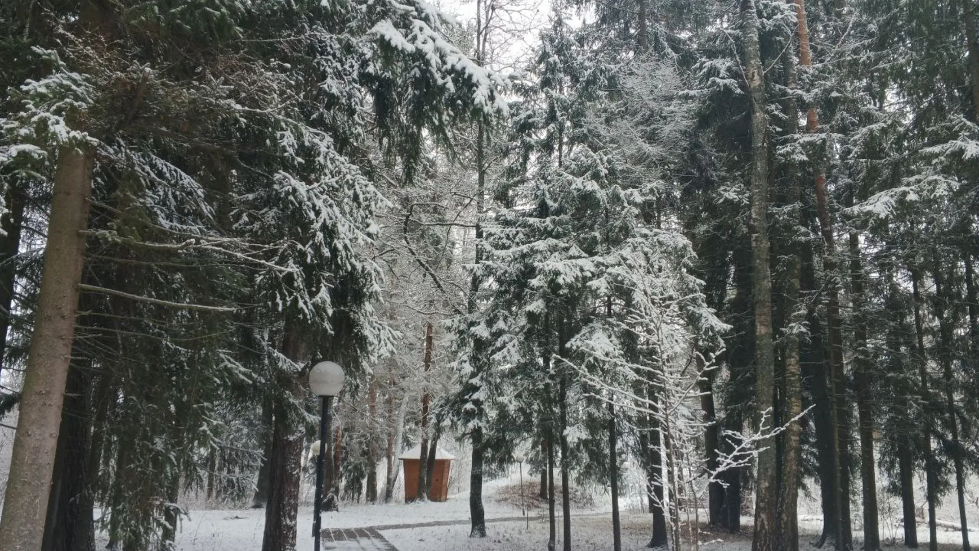 Фото: Яна Солодовник