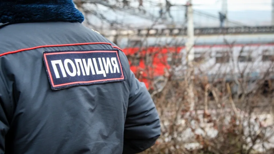 Фото: пресс-служба администрации г.о. Кашира