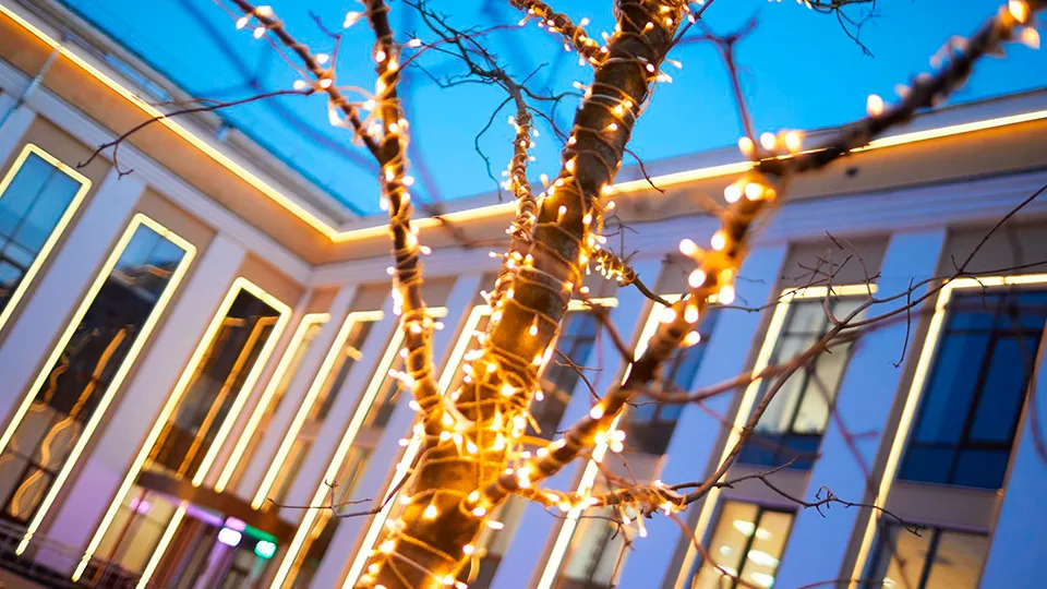 Фото: пресс-служба администрации г.о. Королев