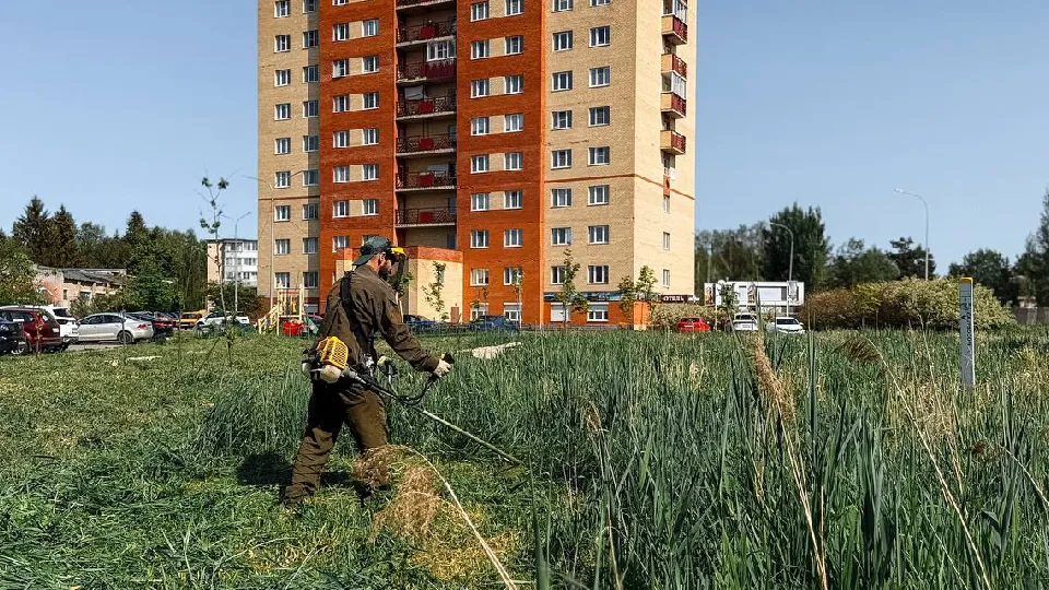 Фото: пресс-служба администрации г.о. Дубна