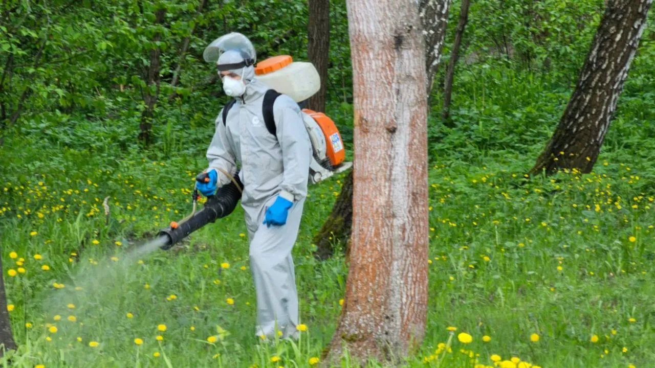 Фото: t.me/park_kz