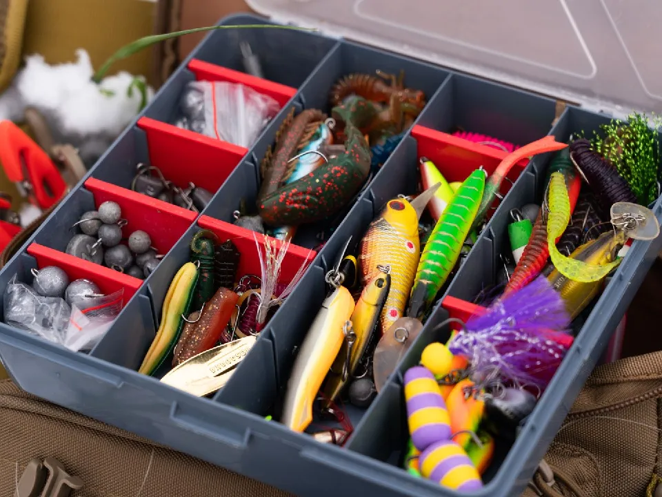 Фото: медиасток.рф&nbsp;&nbsp;