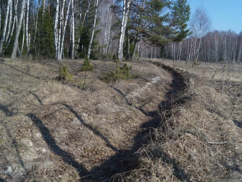 Фото: Комитет лесного хозяйства Московской области