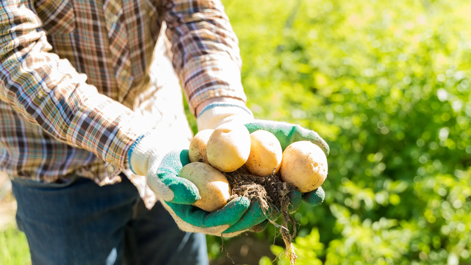 Фото: freepik.com