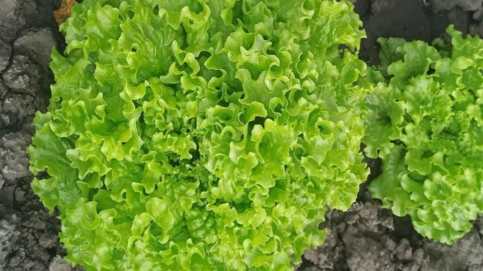 Фото: Эльвира Сафина