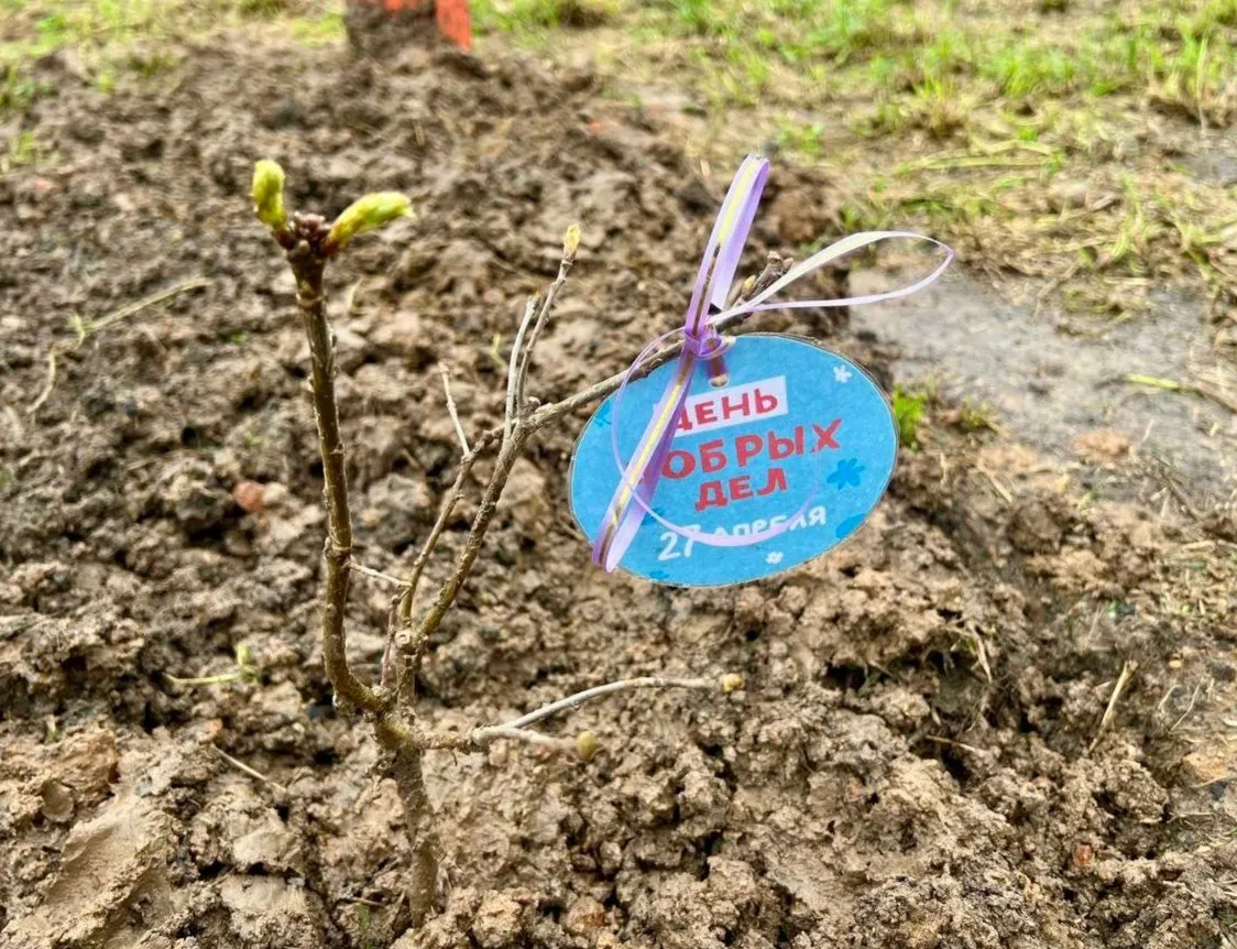 Фото: t.me/Администрация Можайского городского округа