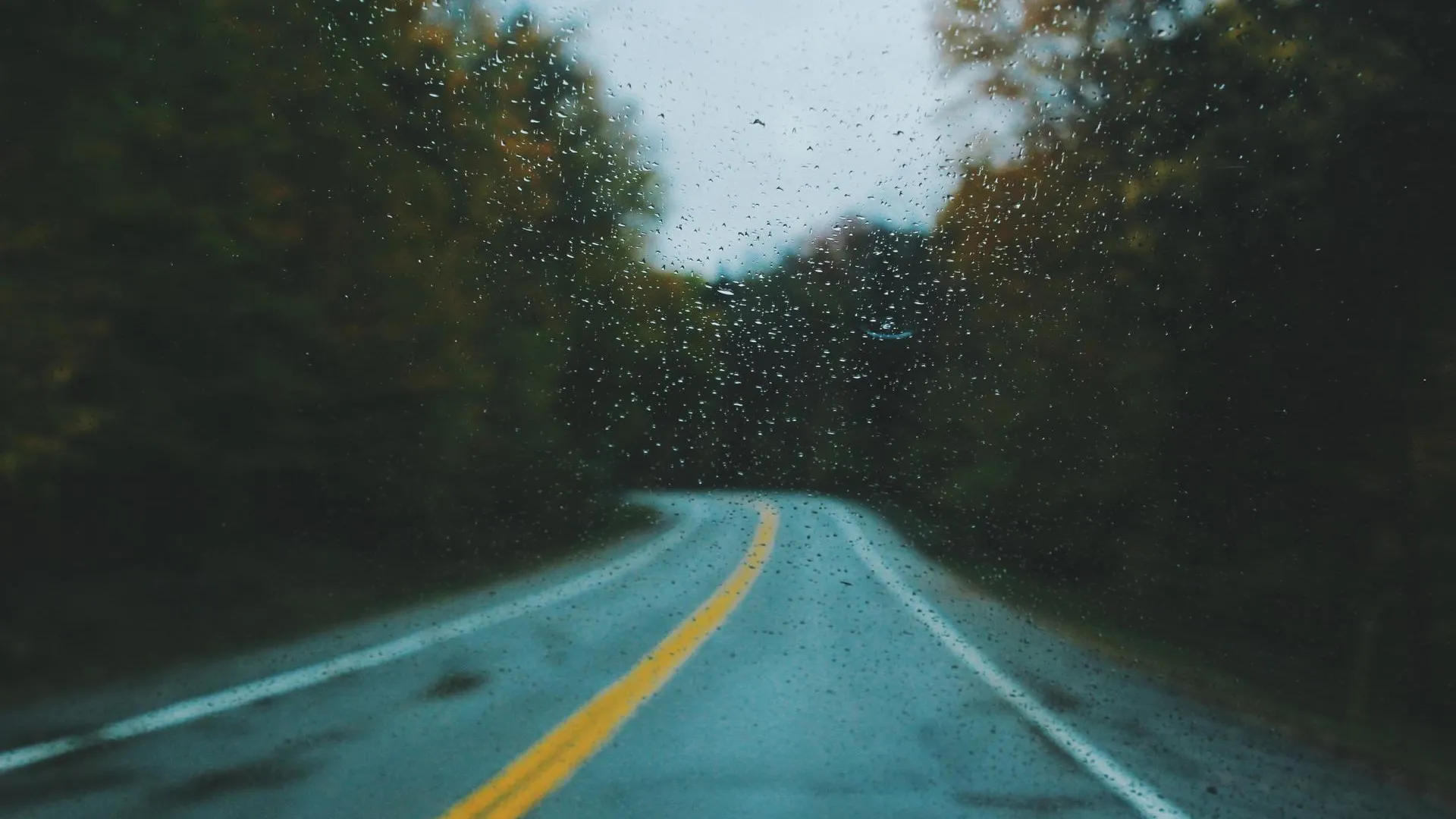 REGIONS/Дмитрий Некрасов