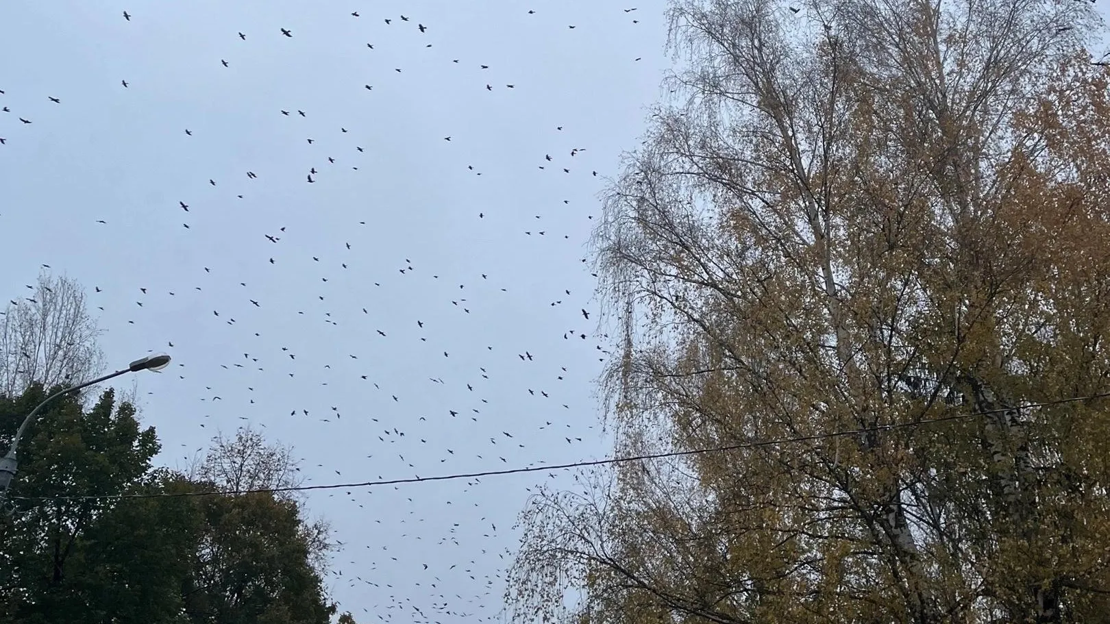 фото: соцсети