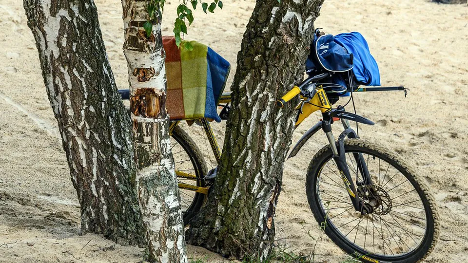 Фото: медиасток.рф