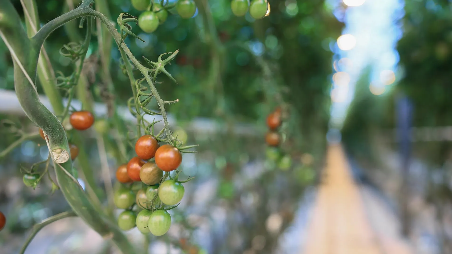 медиасток.рф