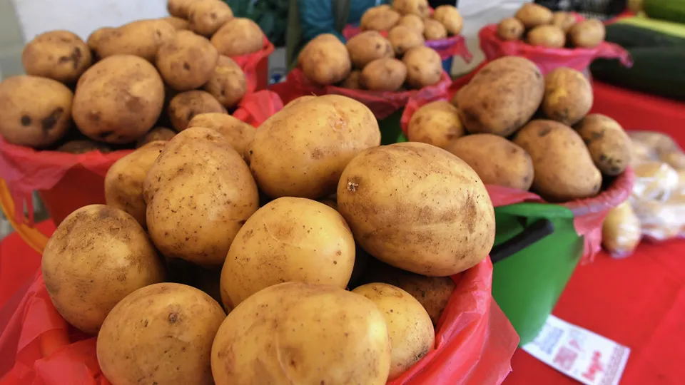 Фото: РИА Новости/Илья Наймушин