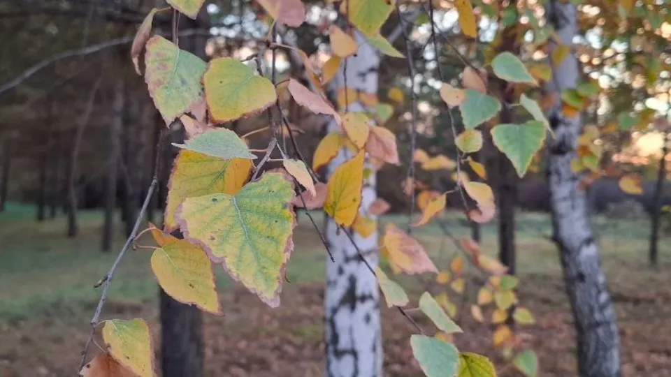 Фото: REGIONS/Юлия Габбасова