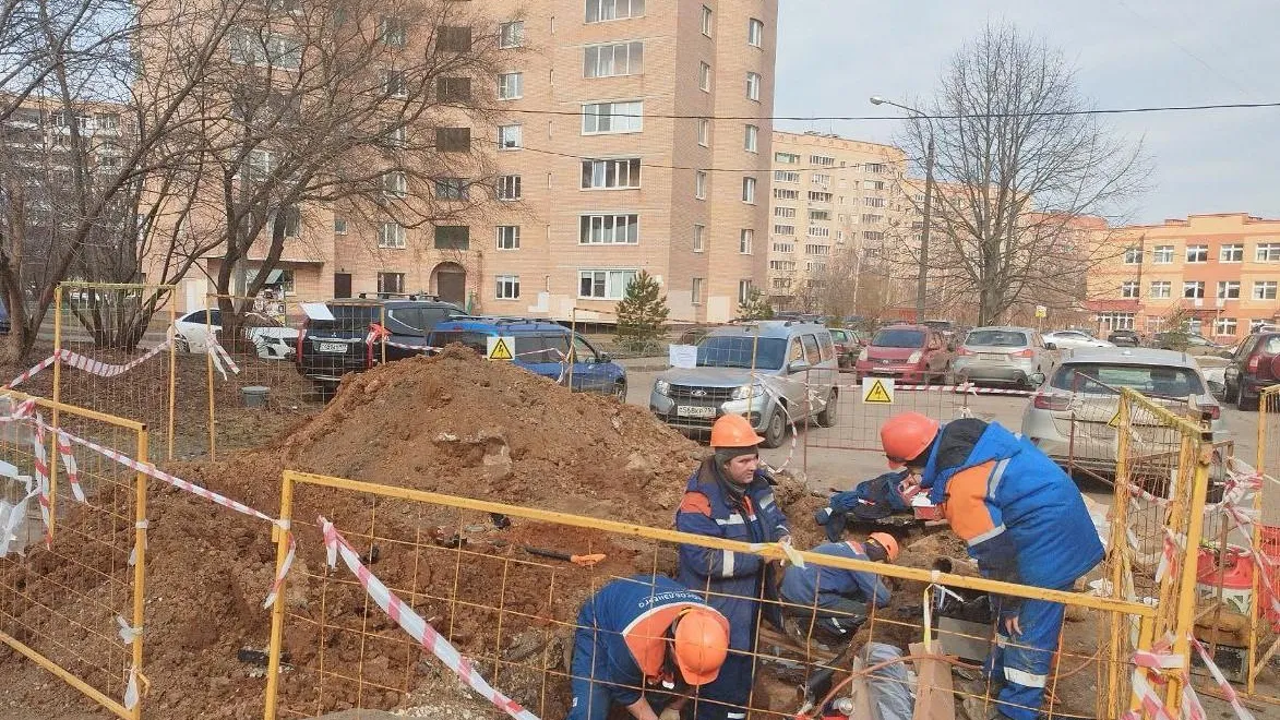 Фото: Министерство энергетики Московской области