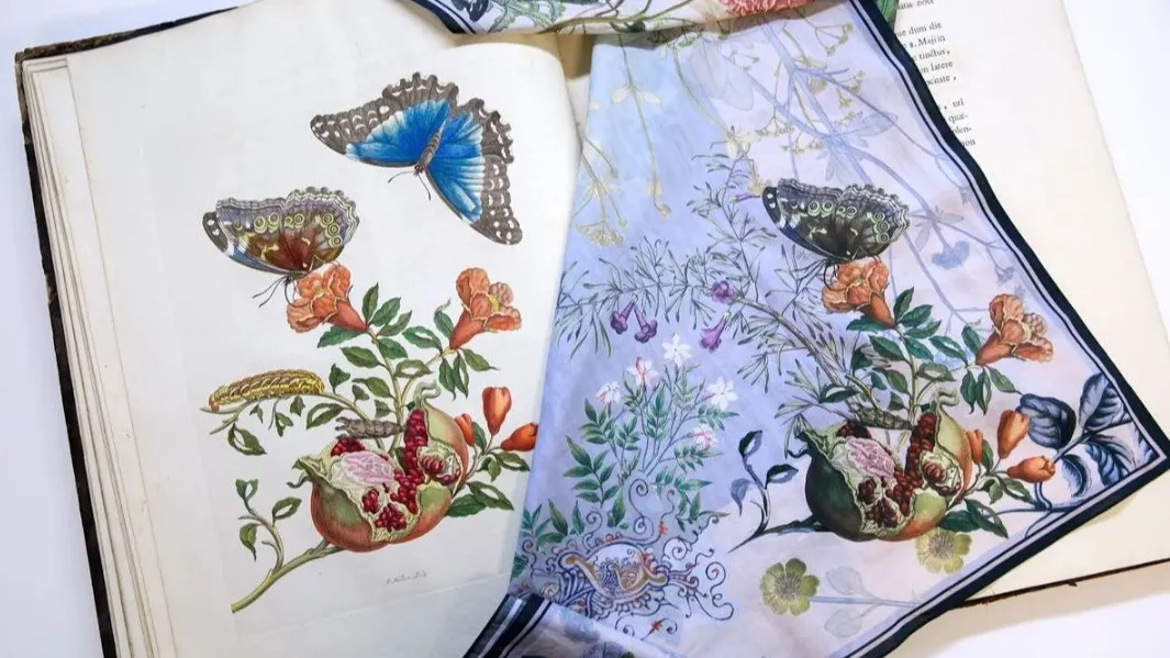 телеграм-канал Русского общества любителей ботанической иллюстрации