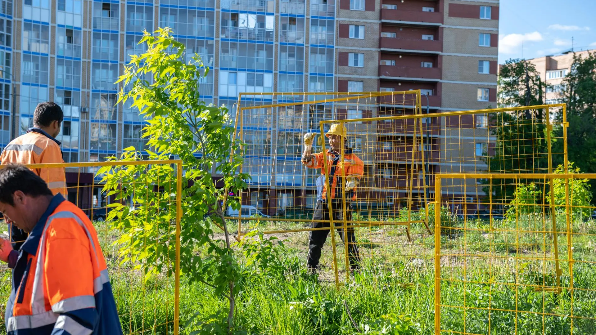 Обновление сквера «Центральный» началось в Лыткарино