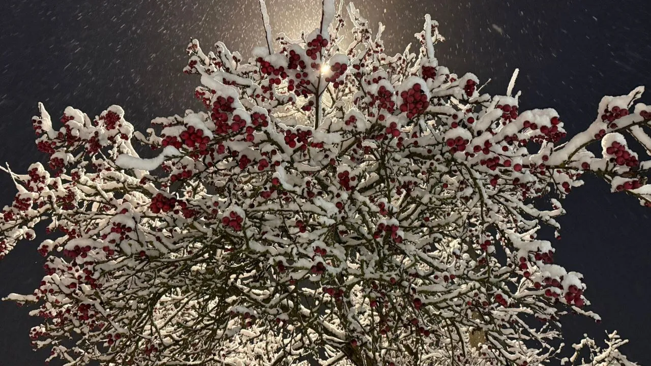 Фото: Марина Алифанова