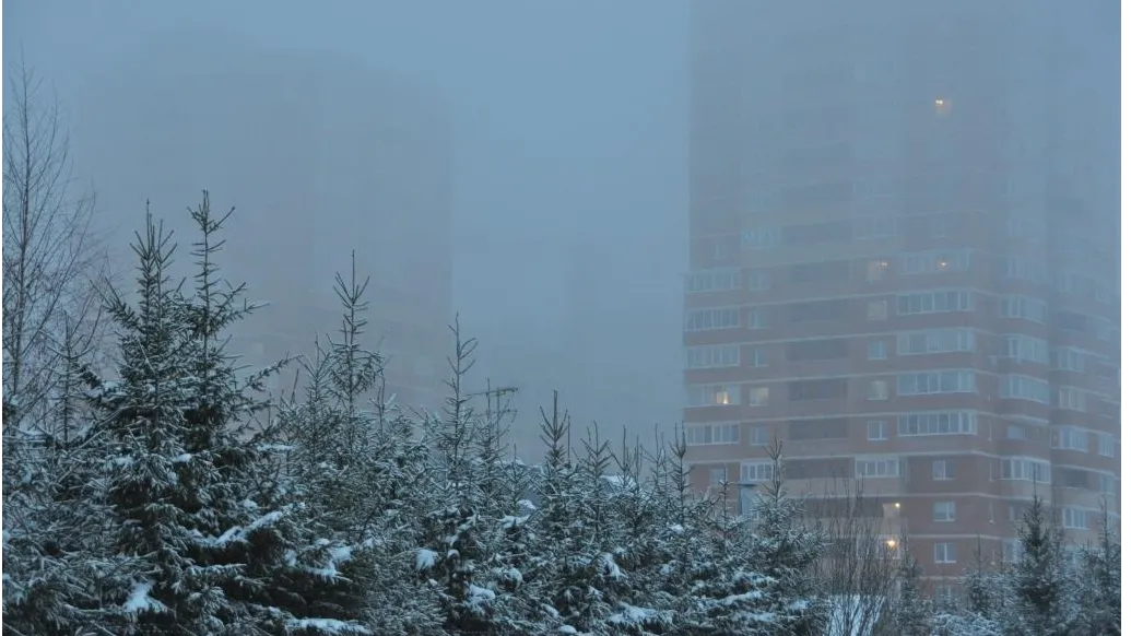 Фото: Ангелина Максимова
