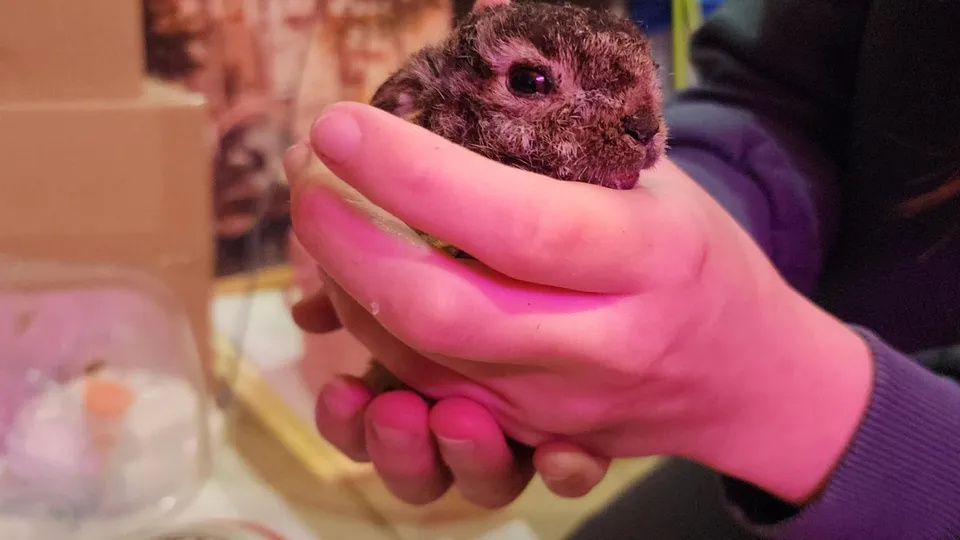 Фото: Анастасия Сараева