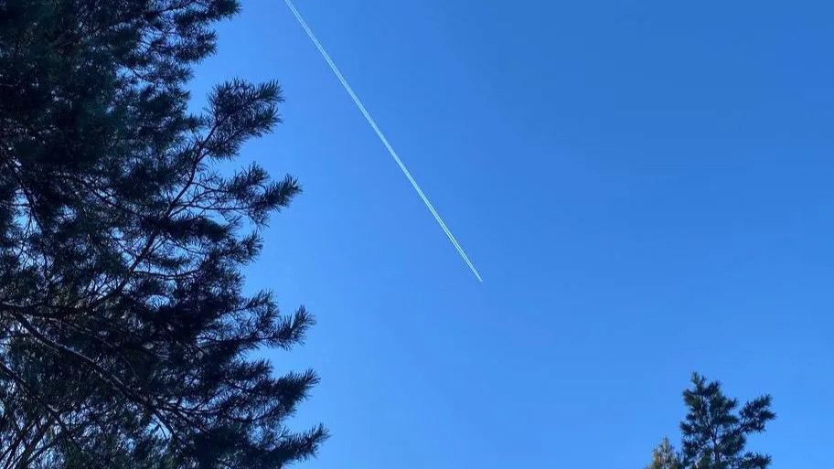 REGIONS/Мария Толстикова