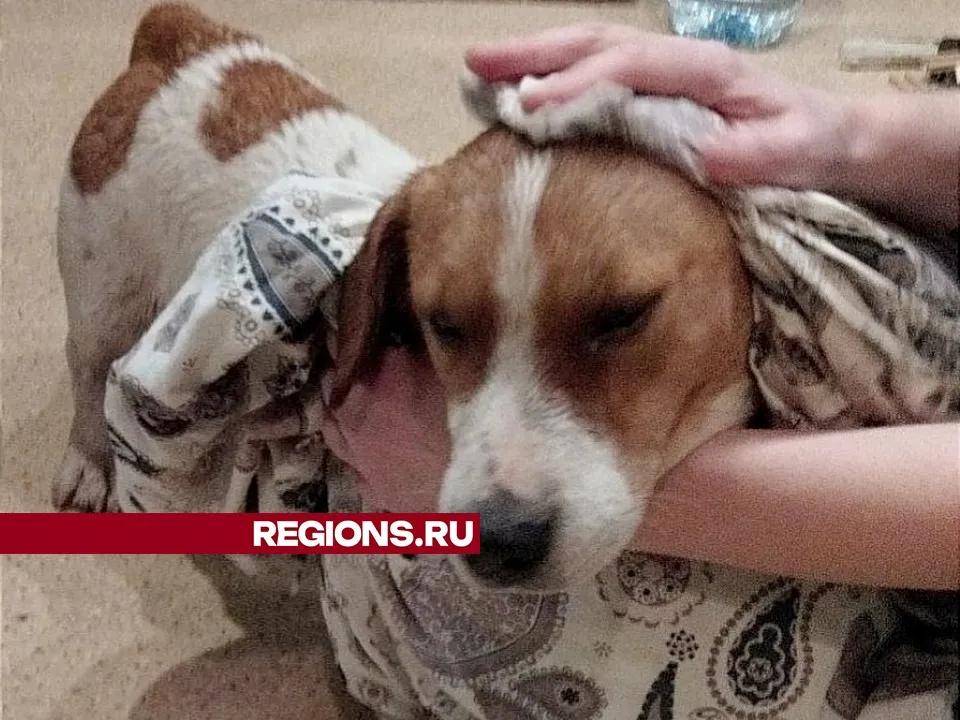 Фото: Наталья Х.