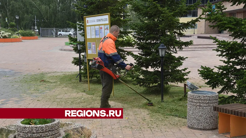 Фото: Владимир Останин