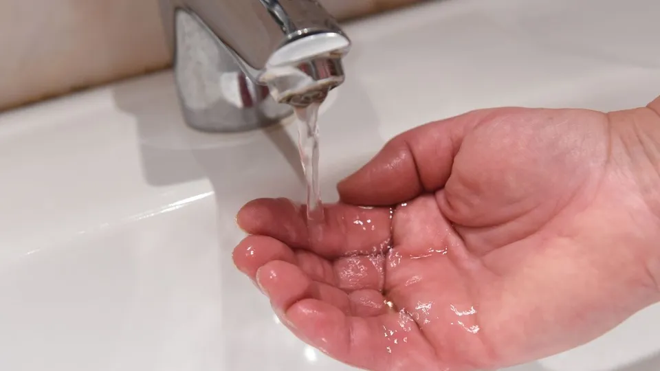 Фото: медиасток.рф