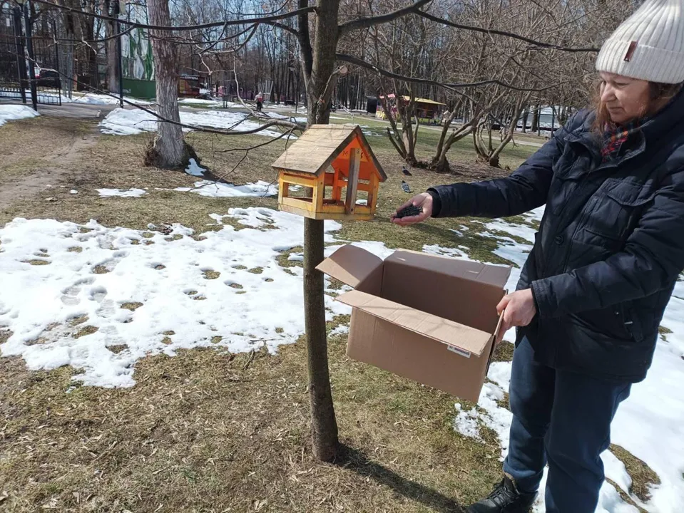 Фото: Парк культуры и отдыха г.о. Щелково