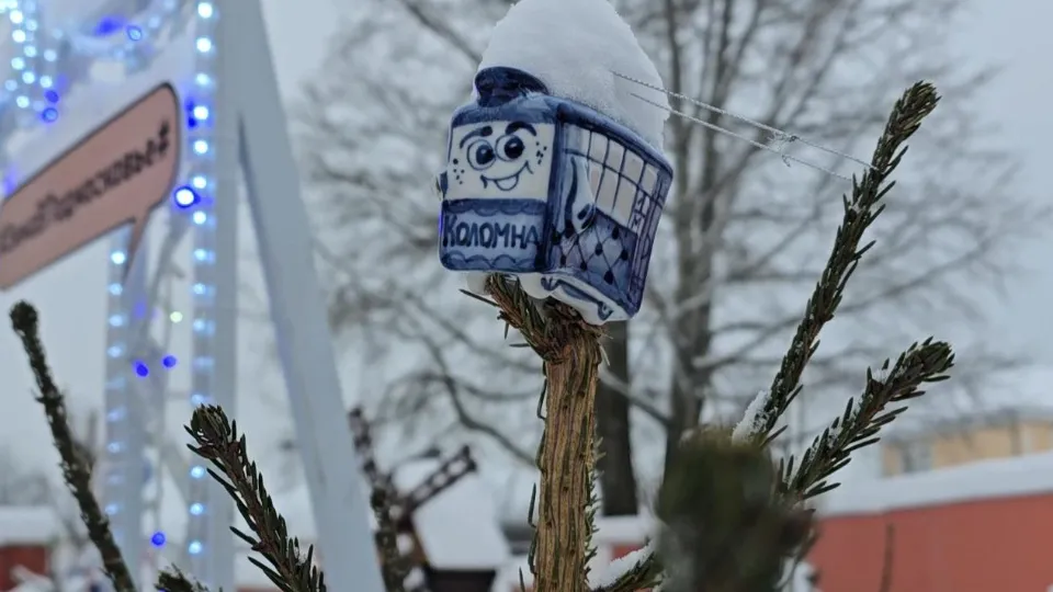 Фото: МедиаБанк Подмосковья/Марина Анисимова