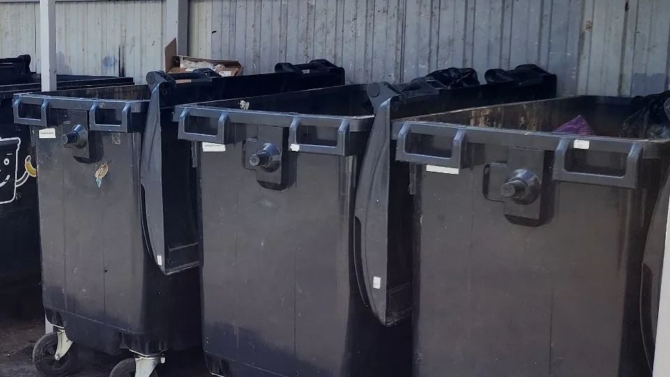 Фото: МедиаБанк Подмосковья/Дмитрий Алексеенко