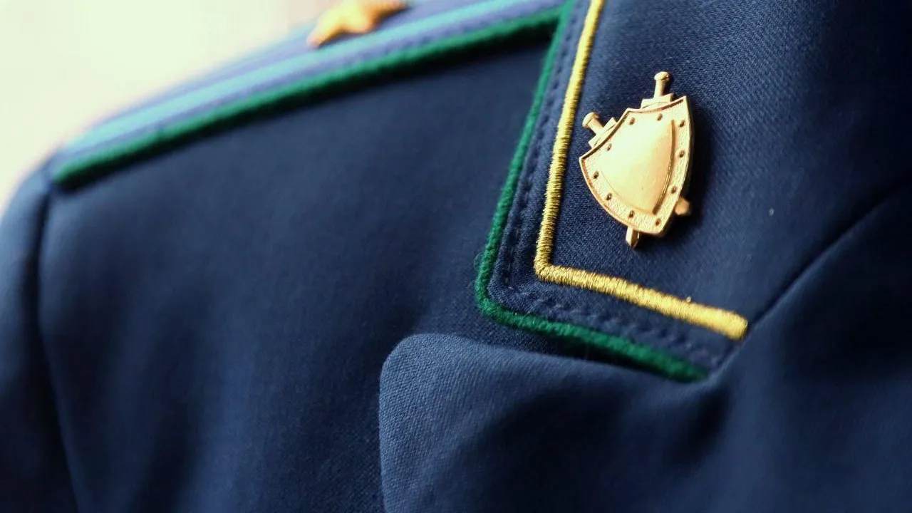 В Павловском Посаде прокуратура провела проверку по факту нападения бездомных собак на детей