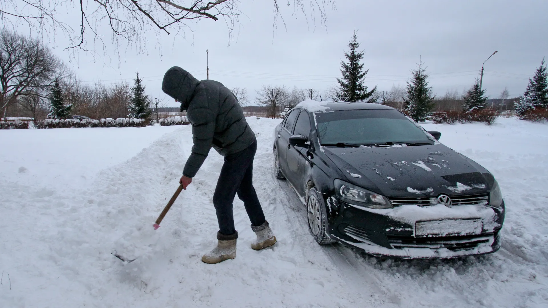 Фото: медиасток.рф