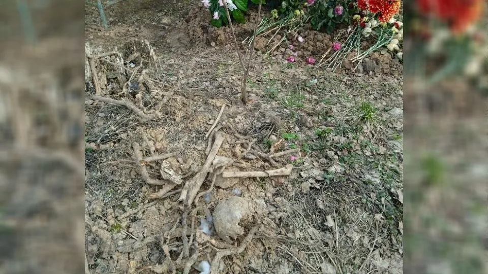 Фото: vmeste.mosreg.ru