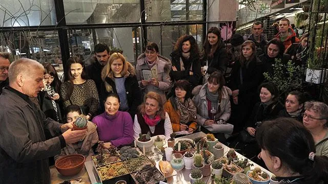 В «Аптекарском огороде» пройдут семинары и мастер-классы по суккулентам