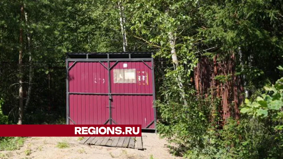 Фото: Дмитрий Зайчиков