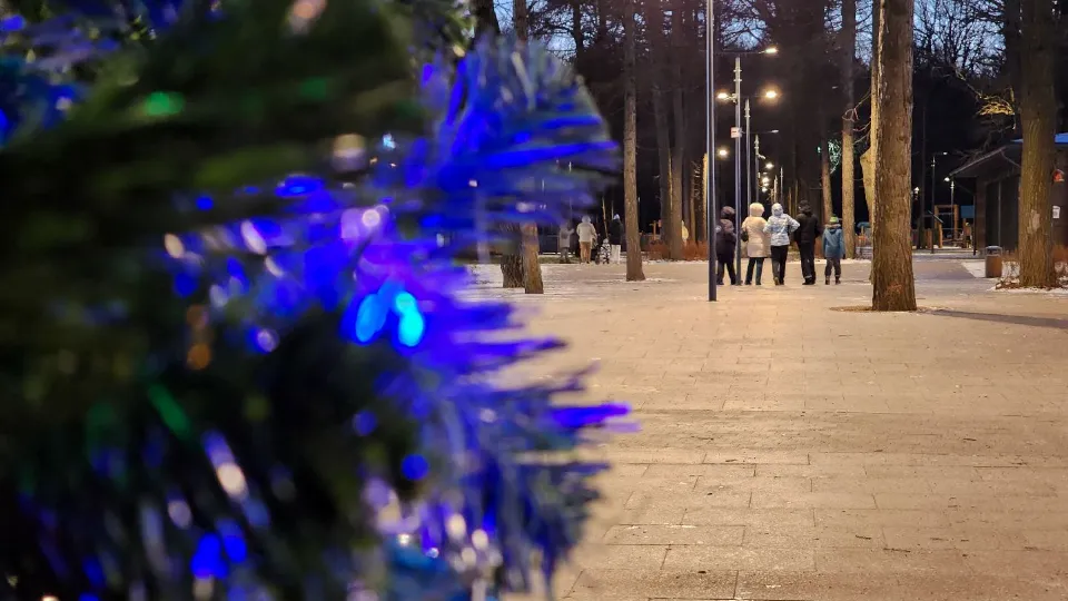Фото: МедиаБанк Подмосковья/Мария Андрюхина
