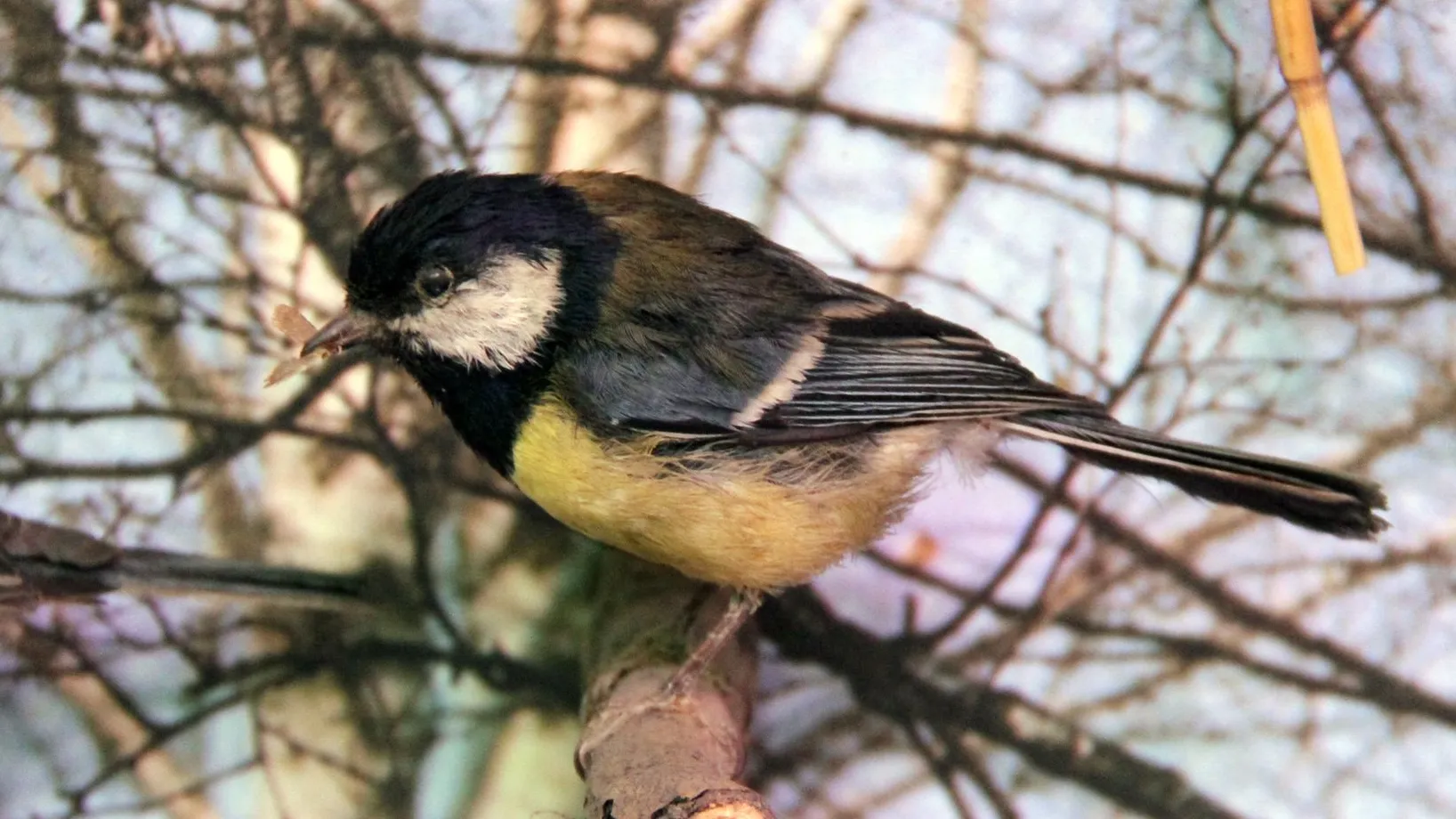 медиасток.рф