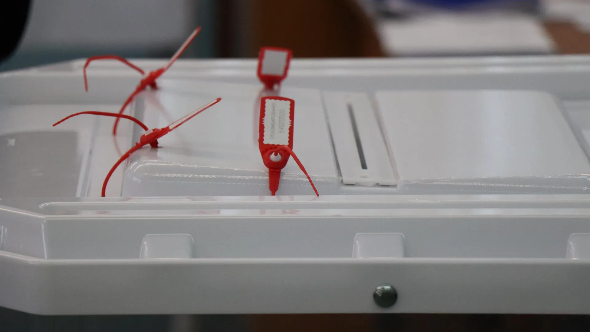 Фото: Василий Тремасов