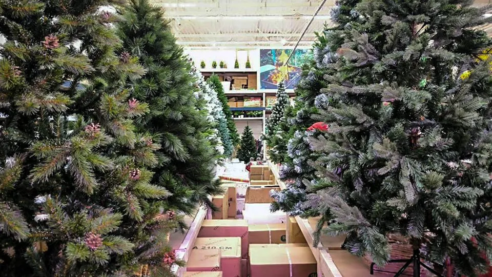 Фото: REGIONS/Роман Малышенко