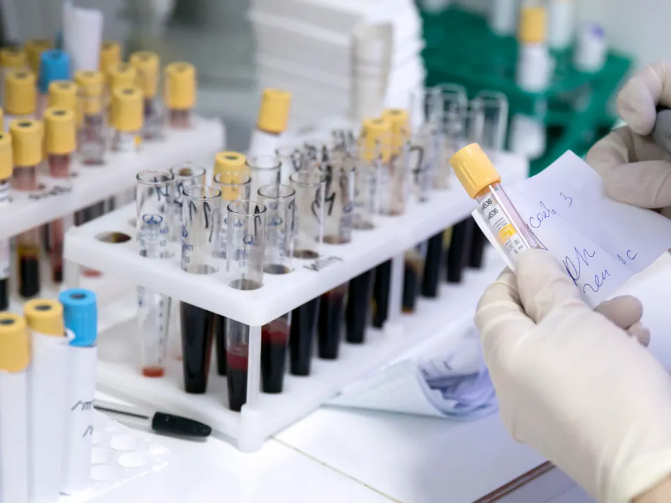 Фото: ТАСС/Елена Афонина