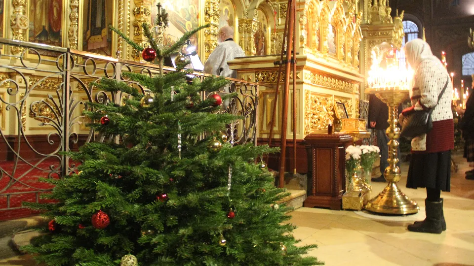 Фото: REGIONS/Василий Тремасов